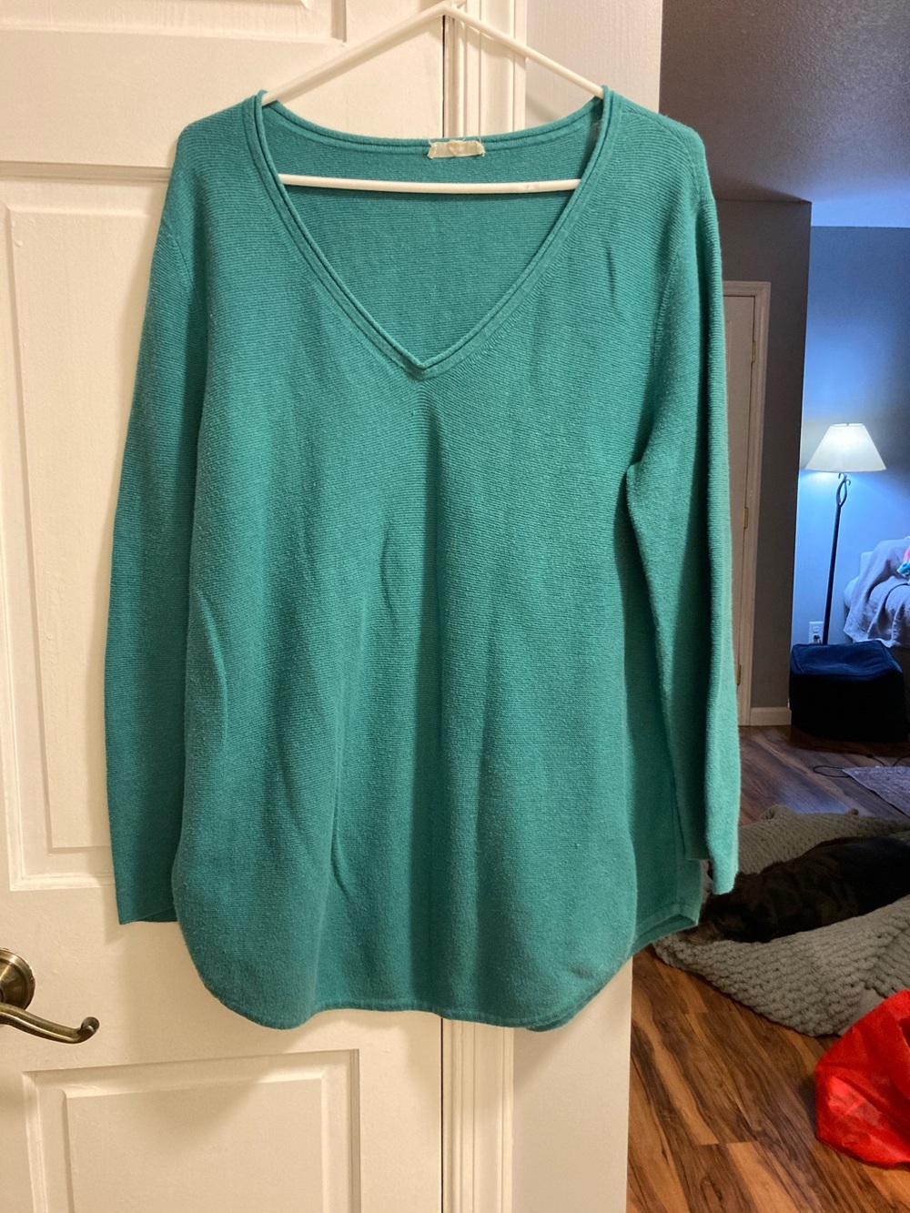 Eileen Fisher Teal V-Neck Sweater
